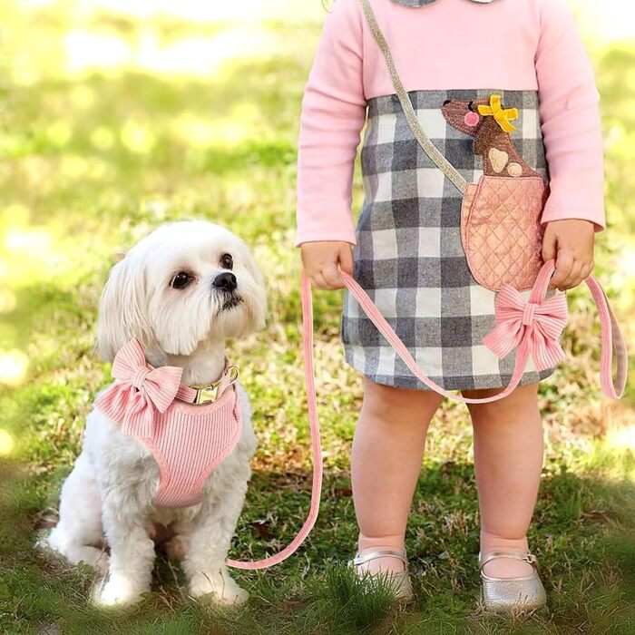 Didog Sweet Collar Harness and Leash Set for Small Dogs, Adjustable Collars and Leashes with Bow Tie, Breathable Soft Mesh Padding for Small Dogs When Walking, Pink, S