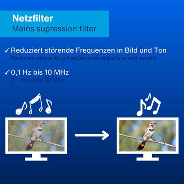 Многофункціональна мережева стрічка REV SupraGuard з вимикачем, 2.5м кабелю, захистом від перенапруги та фільтром живлення (чорно-антрацитова, 4+2 розетки)