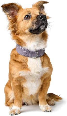 Нашийник для собак HUNTER SOHO X Love, фіолетово-сірий, з натуральної шкіри, м'який, з сердечками, для маленьких собак та цуценят, Made in Germany, розмір 42