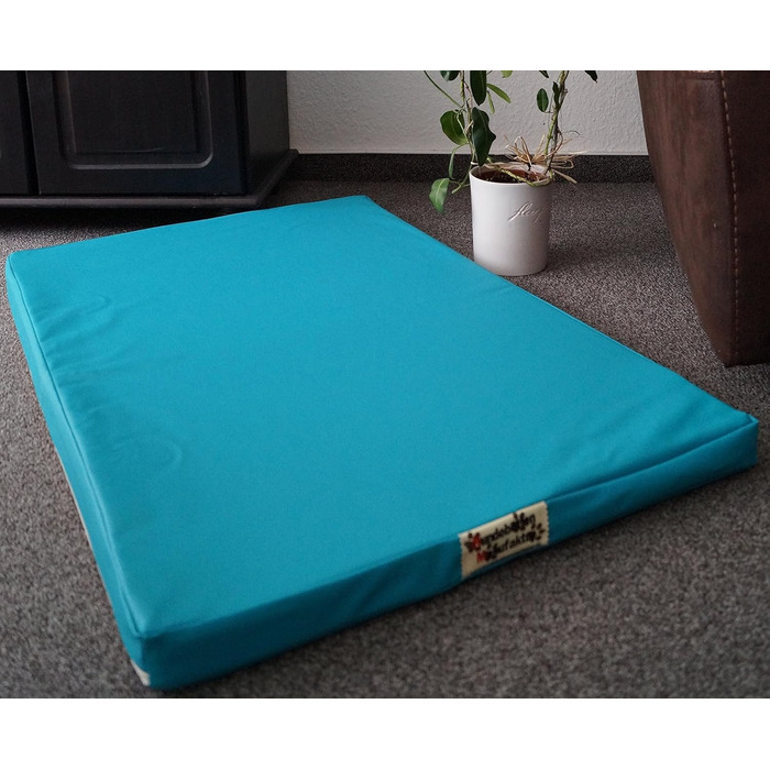 Матрац для собак, ліжко для собак, двосторонній матрац з штучної шкіри, 120x80 см (130x90 см, блакитний)