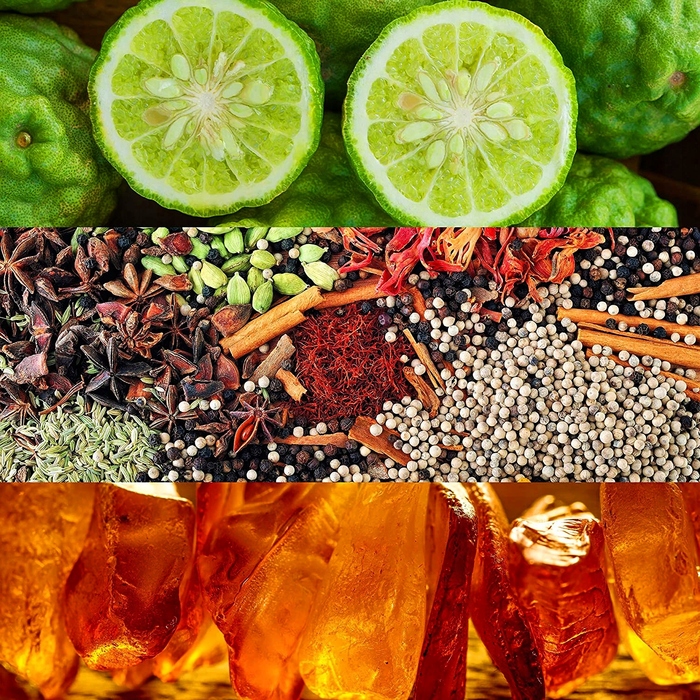 Парфумована вода Calvin Klein Obsession для жінок, 100 мл