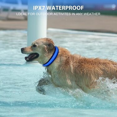 Світлодіодне нашийник для собак AUAUY, USB-зарядка, водонепроникний, регульований, 6 кольорів, розмір S (11.8-15.7'/30-40 см), колір: блакитний