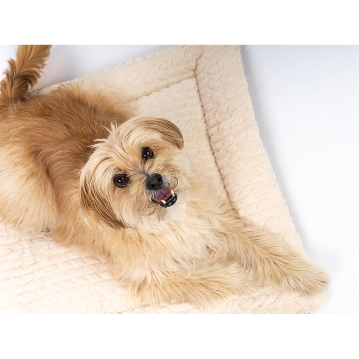 TrendPet Лежанка для собак і котів, двостороння, з підкладкою, 90x65 см, бежева