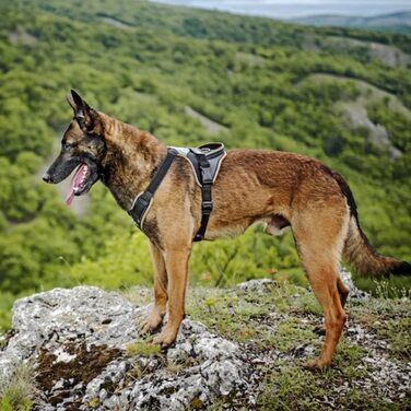 Миска для собак JUIUS K-9 IDC, рожево-сіра, розмір XS