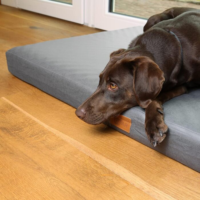 Ваше ліжко для собак GEAR Biella, ортопедичне, з екошкіри, миється, захищає суглоби, високий рівень комфорту (120x80x10 см)