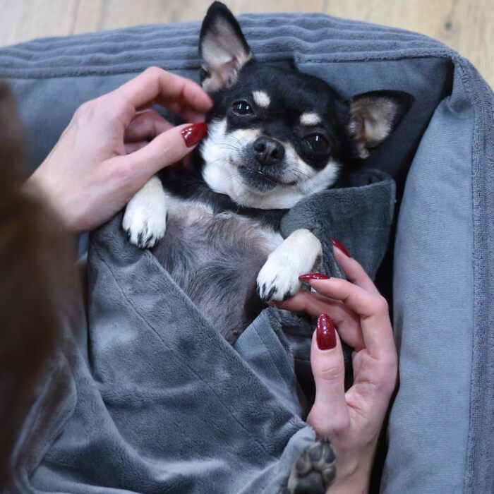 М'яка підстилка для собак та котів 4L Textil - підстилка для подорожей, для дому, захист дивану, 60x40/100x80 см, бежева/сіра