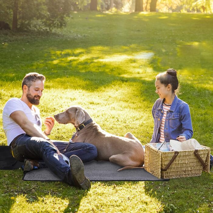 Водонепроникна килимок для собак та котів 95x65 см, складаний, для подорожей та дому