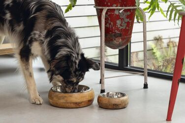 Lotte Holznapf Mandira 650ml Ceramic Dog Bowl - Brown