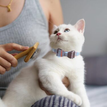 Набір аксесуарів для собак ExPawlorer: ошийник та поводок з бантиком у клітинку, регульований, з дзвіночком, 3 шт. (Himmelblau, X-Small)