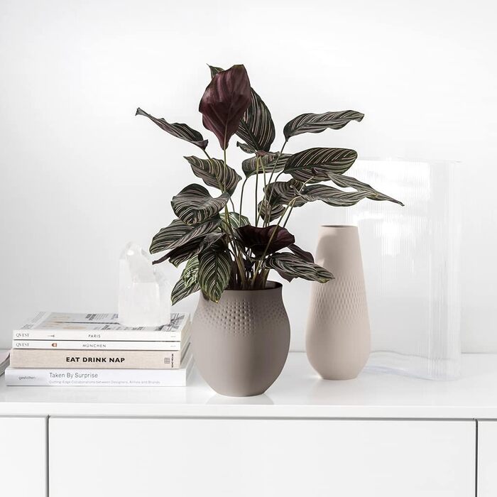 Ваза Villeroy & Boch Collier Noir No. 2, 16 x 116 x 20 см, преміум-порцелан (перламутровий, тауп, L)