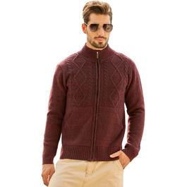 Чоловіча флісова куртка Les Umes з коміром-стійкою, Regular Fit (Бордовий, 3XL)