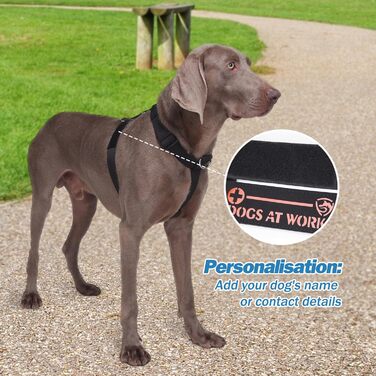 Нашийник для собак FeimaX великих порід, тактичний, зручний, чорний (L)