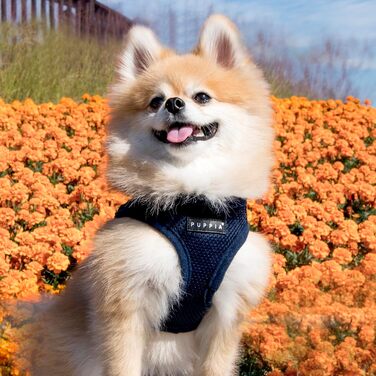 Шлейка для собак Puppia для малих та середніх собак - м'яка жилетка у багатьох кольорах, можна використовувати як одяг, анти-тягнуча шлейка, (S, Navy)