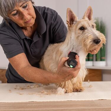 Професійна собача машинка Moser Arco Pro Agrarzone Edition: 2 акумулятори, набір гребенів, триммер для собак, котів та догляду за тваринами