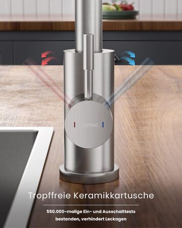 Кухонний змішувач Dayone з висувною лійкою, нержавіюча сталь SUS304, високий тиск, кухонний кран з 2 функціями, поворотна на 360°, для кухні