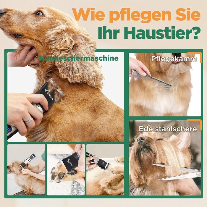 Машинка для стрижки собак Gimars 3-в-1: потужна, тиха, для густого хутра. Комплект з ножицями, акумуляторна, 7000 об/хв. Ідеально для собак та котів.