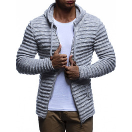 Світшот кардиган Leif Nelson для чоловіків з капюшоном та блискавкою, сірий, бавовна, XXL