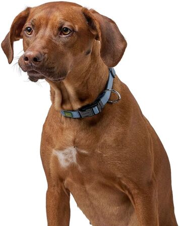 Нашийник для собак Hunter Vario Plus, міцний, гнучкий, з надійною застібкою, M-L/2.0, petrol