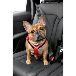 Ремінь безпеки для собак Kleinmetall 15390100, розмір S