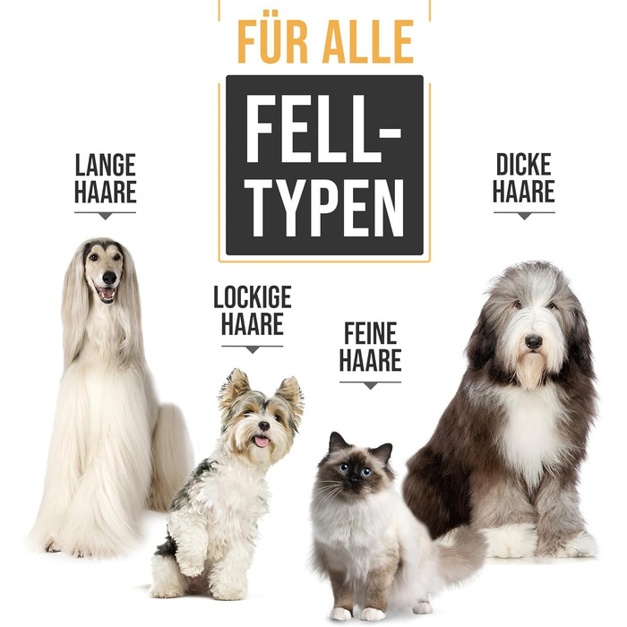 Набір для стрижки собак та котів: професійний триммер для густого хутра з низьким рівнем шуму, золотий