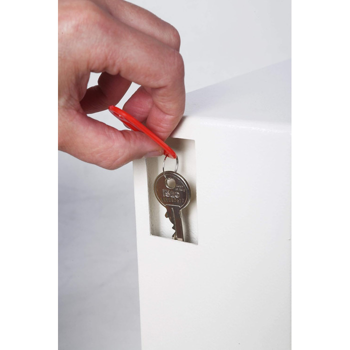 Шкафчик для ключів Phoenix Cygnus KS0032E на 48 ключів з брелоками, білий (300 гачків)