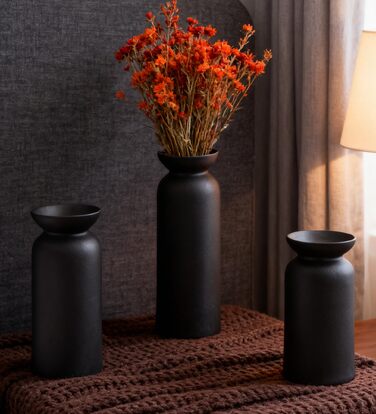 Керамічні вази 3 шт., Сучасний мінімалізм, Декор для дому, Вази для пампасной трави, Вітальня (12 Чорний)