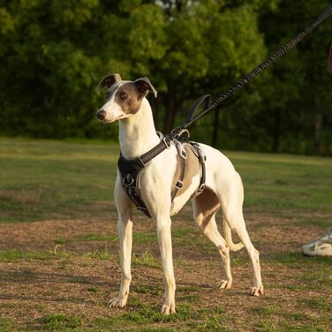 Нашийник для собак Huntboo, великі породи, анти-злам, світловідбиваючий, водонепроникний, регульований, для прогулянок та бігу (Чорний, L, упаковка з 1)