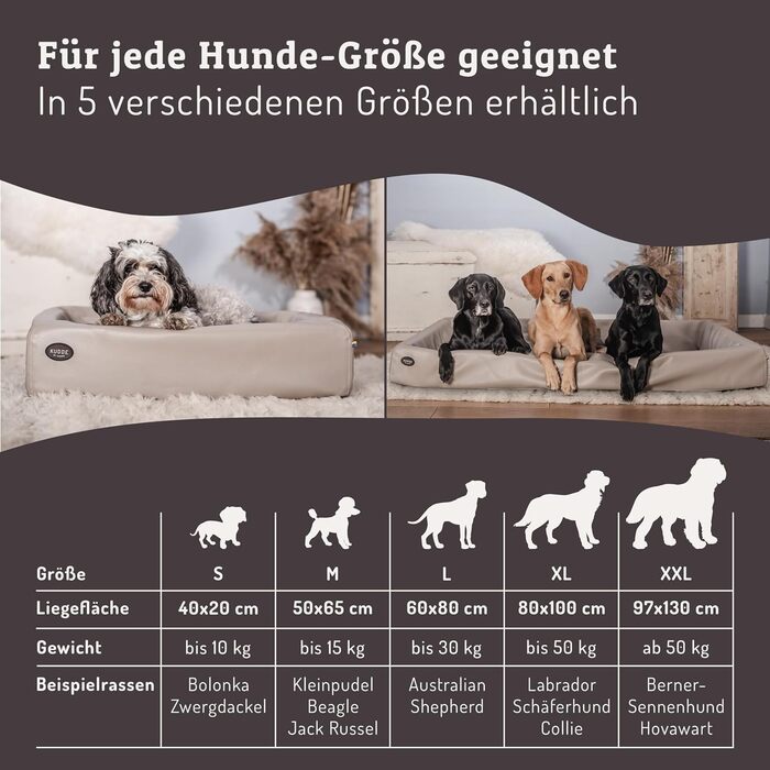 ABRO Кушетка для собак ортопедична – Мартін Рюттер – З високоякісної штучної шкіри – Стійка до подряпин та вологи – Ергономічна – Преміум аксесуар для собак маленьких порід (L, Чорний)