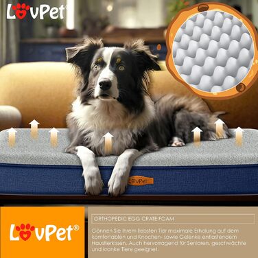 Lovpet® Orthopedic Dog Bed, Dog Cushion, Dog Basket Cookie, Incl. Bowl + 3X Chew Bones, Dog Sofa for Small, Medium & Large Dogs, Removable and Washable Cover, L 91x69x7.6 cm Anthracite (M (76 x 51 x 7.6 cm), Navy Blue / Light Grey)
