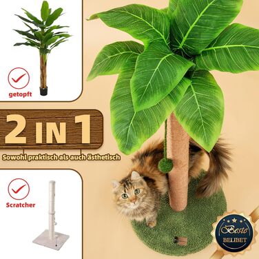 84 cm Scratching Posts Cute Cat Scratcher Kitten Scratch Tree with Sisal Rope for Indoor Cats Palm Cat Scratching Tree with Dangling Balls for Small Cats