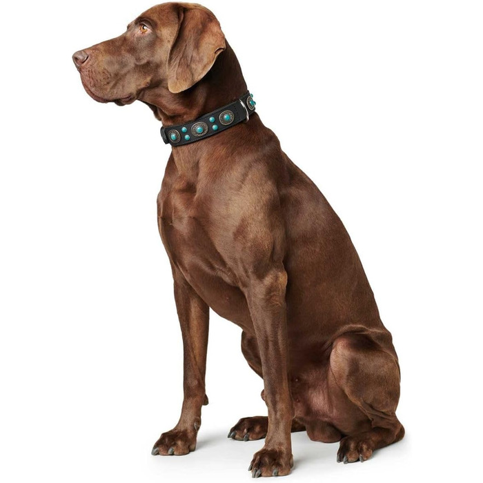 Нашийник для собак HUNTER SIOUX, шкіряний, в індійському стилі, з прикрасами, розмір S-M, чорний