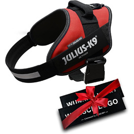 Поясна шлейка Julius K-9 IDC Powergeschirre з індивідуальним нанесенням, для собак маленьких, середніх та великих порід, 16IDC+CUSTOMP-B (Червона)