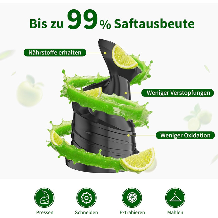 Шнекова соковижималка Entsafter Slow Juicer SJ-065, 400 Вт, XL-завантажувач 152 мм, Titanium Gray