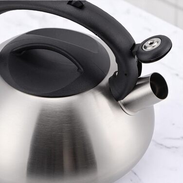 Електричний чайник EliteHoff 3L з нержавіючої сталі з автоматичним свистком, срібного кольору, для індукційних плит (E-5114)