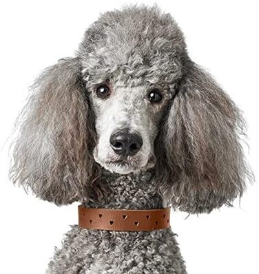 Нашийник для собак HUNTER Aalborg Soul, колір коньяк з сердечком, міцний, розмір 35