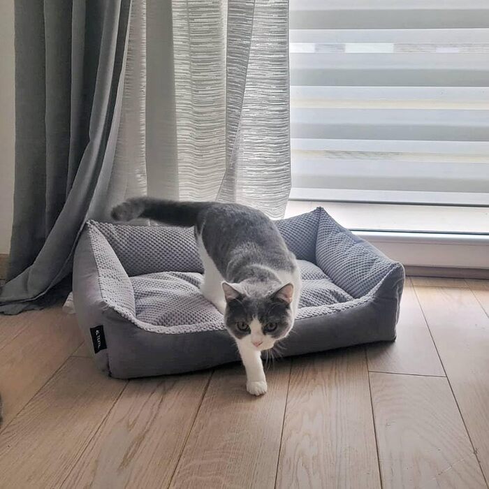 Клітка-лежанка для котів та собак 60x40 см, Graphit (4L Textil Teo)