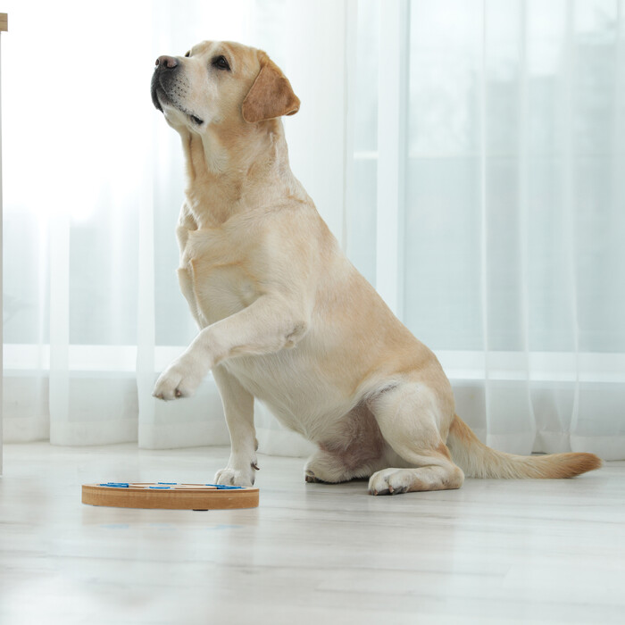 Relaxdays Interactive Dog Toy