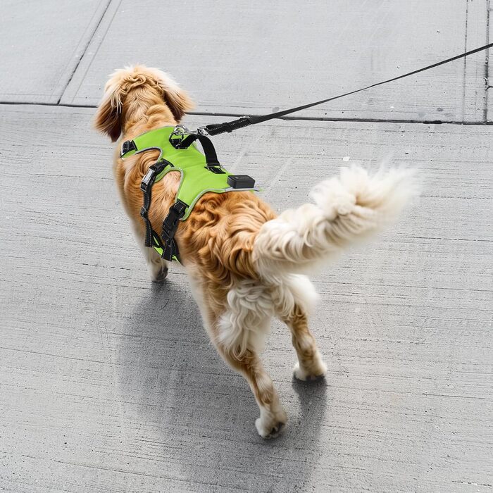 Світловідбиваючий нашийник для собак Jewyow з LED, перезаряджуваний, водонепроникний, 3 режими, зелений, розмір M