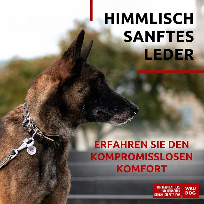 Шкіряний нашийник для собак WAUDOG: великі, середні та малі породи, для цуценят. Нашийник з цифровою міткою, ширина 15/25 мм, довжина 27-36/38-49 см. Чорний колір.