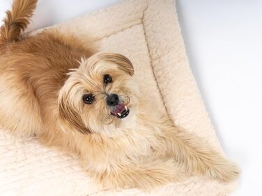 TrendPet Лежанка для собак і котів, двостороння, з підкладкою, 90x65 см, бежева