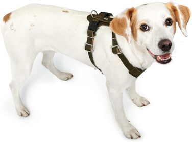 Шлейка для собак HUNTER AALBORG з натуральної шкіри, оливковий колір, розмір M-L