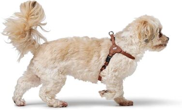 Нашийник для собак HUNTER SOHO MINI, колір: коричневий (cognac), шкіра, для маленьких собак та цуценят, Made in Germany, розмір XS