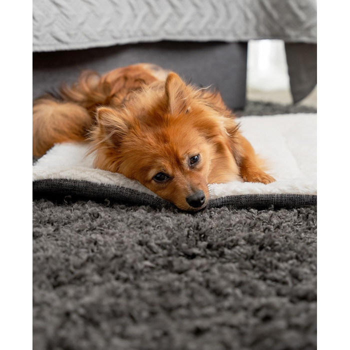Килимок-підстилка Lionto для собак та котів, теплий, з підкладкою, 60x45 см, сірий. Миючий, з міцною та пухнастою стороною, захист від холоду для тварин будь-якого розміру.