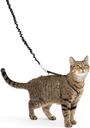 PetSafe Come with Me Kitty Harness and Bungee Leash, Harness for Cats, Size M, Red/Cranberry, Model: CWMK-M-RED (Black/Fawn, Small (Pack of 1))