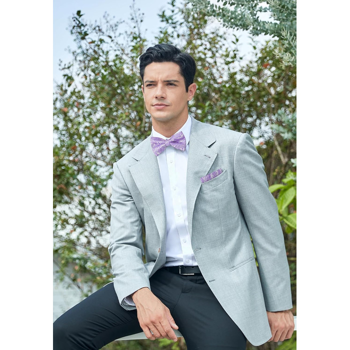 Метелик HISDERN для чоловіків, однотонний, регульований, для вечірки/весілля (фіолетовий)