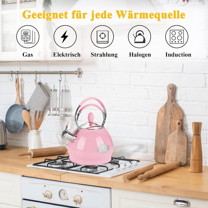 Квітковий чайник 2.6L з нержавіючої сталі з термостійкою ручкою, сумісний з усіма плитами (індукційними)