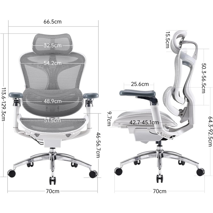 SIHOO Doro C300 Pro Ergonomic Office Chair with ultra-soft 6D armrests, dynamic lumbar support, seat depth adjustment, and adjustable backrest, desk chair for home office (White) White Upgrade Functional