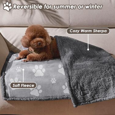 Водонепроникний плед для собак та котів, миючий, 150 x 120 см (Paw/Black)