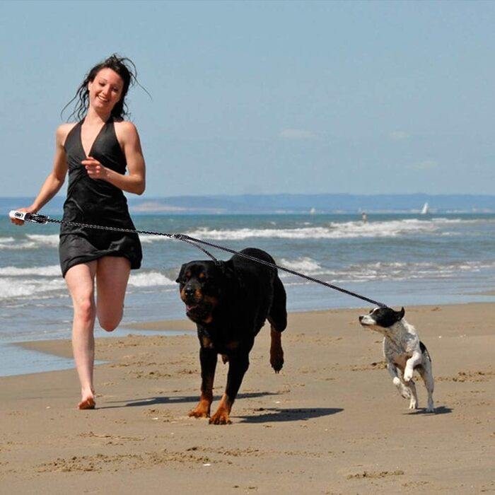 EXPAWLORER Подвійна висувна собача шлейка - подвійний намотування, блокування, до 72.6 кг загальної ваги, 36.3 кг