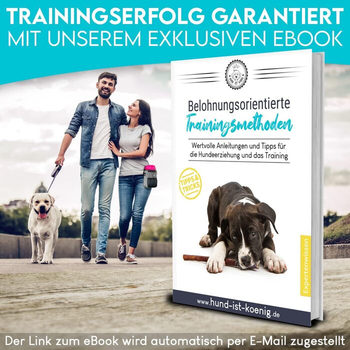 Лекарство для собак HUND IST KÖNIG Premium - місткий набір для прогулянок та тренувань з дозатором для відходів та електронною книгою (сірий, 16 x 18 x 6 см)